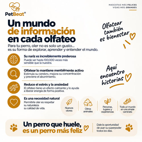 El Poder del Olfato 🐾
